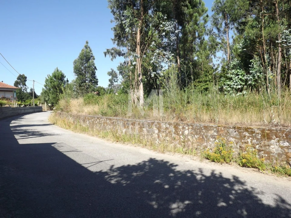 Terreno para Venda em Santa Marta de Portuzelo Foto 7