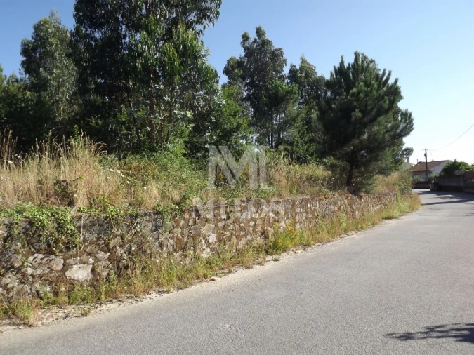 Terreno para Venda em Santa Marta de Portuzelo Foto 2