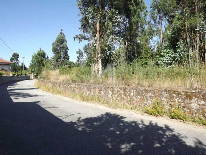 Terreno para Venda em Santa Marta de Portuzelo Foto 7