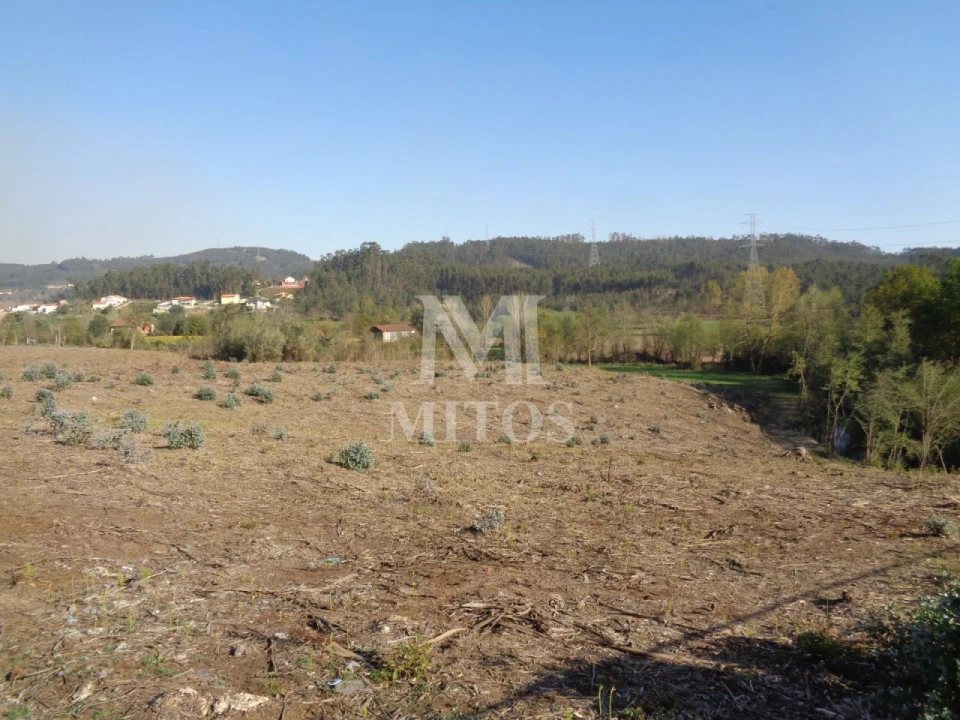 Terreno para Venda em Anais Foto 2