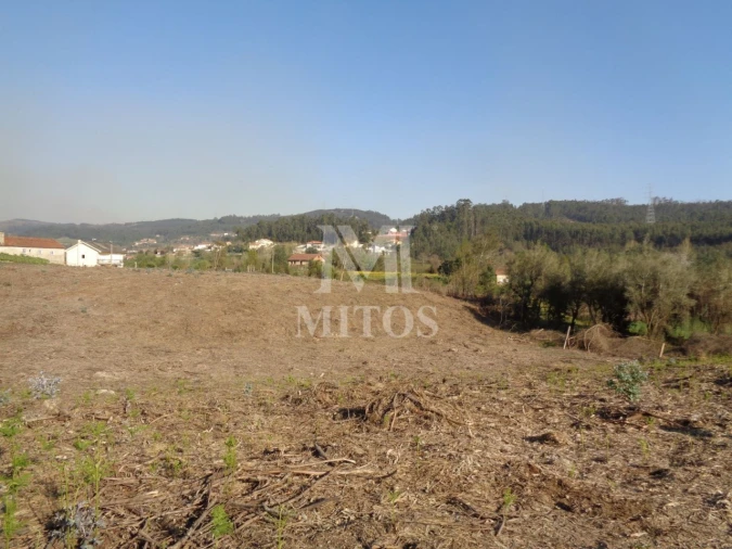 Terreno para Venda em Anais Foto 6