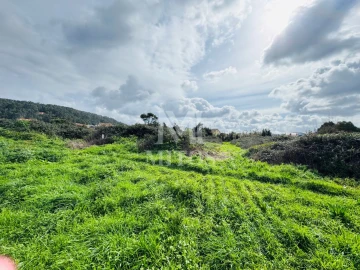 Terreno para Venda em Castelo do Neiva