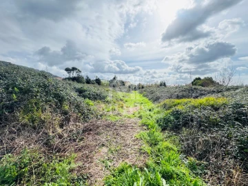 Terreno para Venda em Castelo do Neiva
