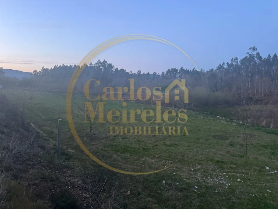 Terreno para Venda em Associação de Freguesias do Vale do Neiva Foto 2