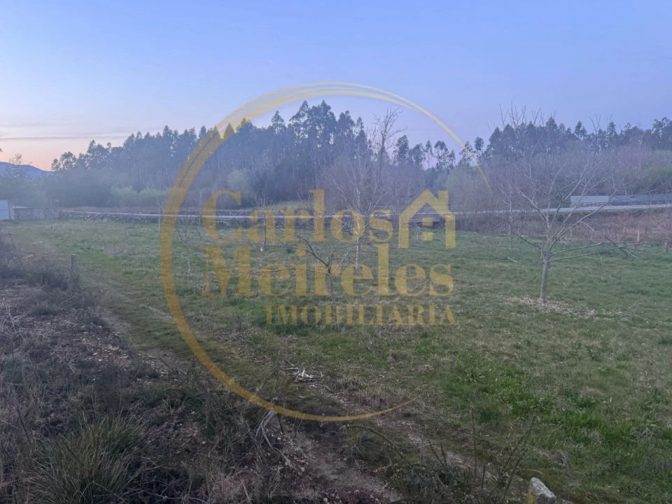 Terreno para Venda em Associação de Freguesias do Vale do Neiva Foto 5