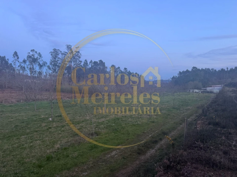 Terreno para Venda em Associação de Freguesias do Vale do Neiva Foto 7