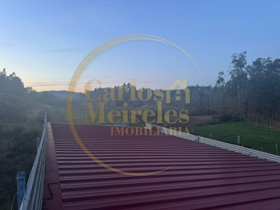 Terreno para Venda em Associação de Freguesias do Vale do Neiva Foto 12