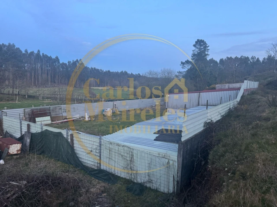 Terreno para Venda em Associação de Freguesias do Vale do Neiva Foto 14