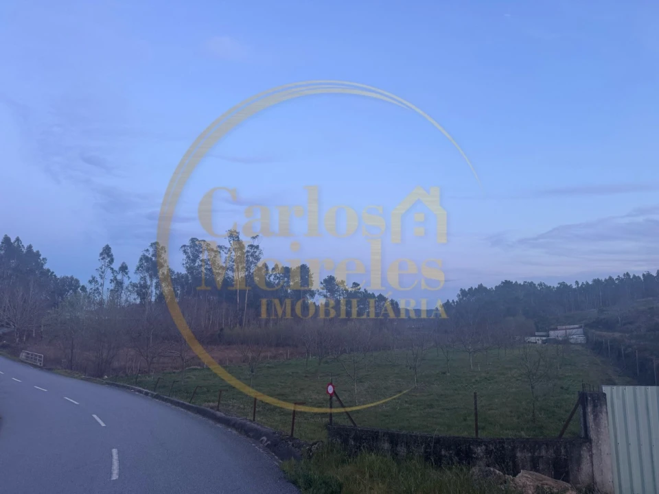 Terreno para Venda em Associação de Freguesias do Vale do Neiva Foto 16