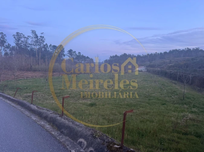 Terreno para Venda em Associação de Freguesias do Vale do Neiva Foto 4