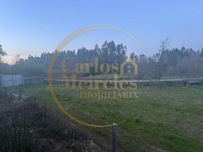 Terreno para Venda em Associação de Freguesias do Vale do Neiva Foto 6