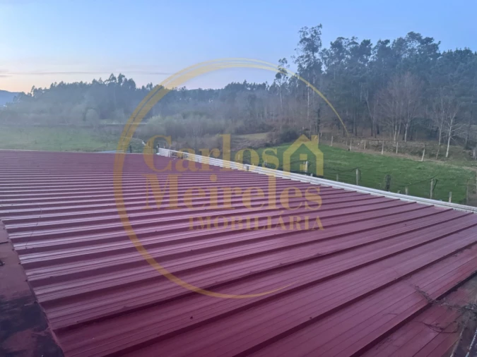 Terreno para Venda em Associação de Freguesias do Vale do Neiva Foto 10