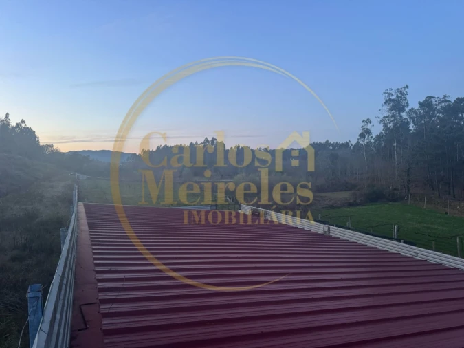 Terreno para Venda em Associação de Freguesias do Vale do Neiva Foto 12