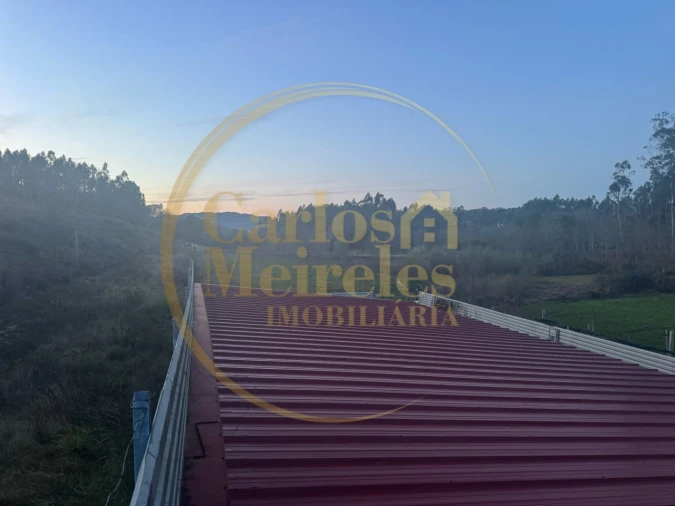 Terreno para Venda em Associação de Freguesias do Vale do Neiva Foto 13