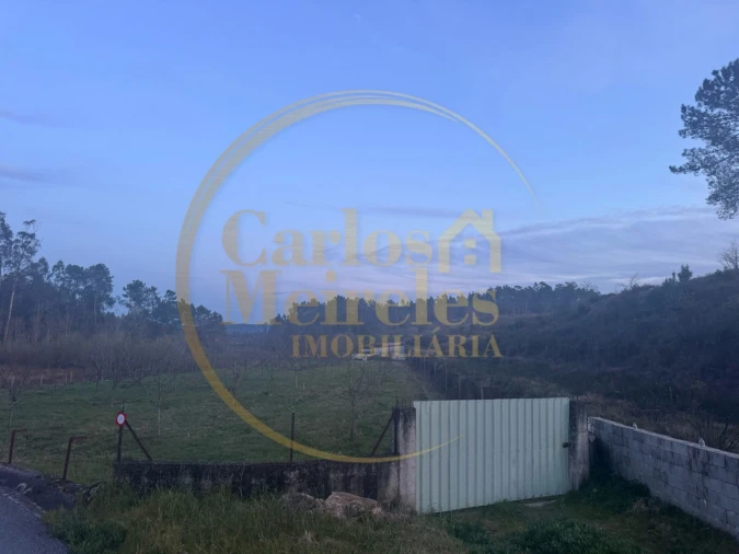 Terreno para Venda em Associação de Freguesias do Vale do Neiva Foto 15