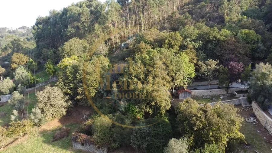Terreno para Venda em Ribeira do Neiva Foto 21