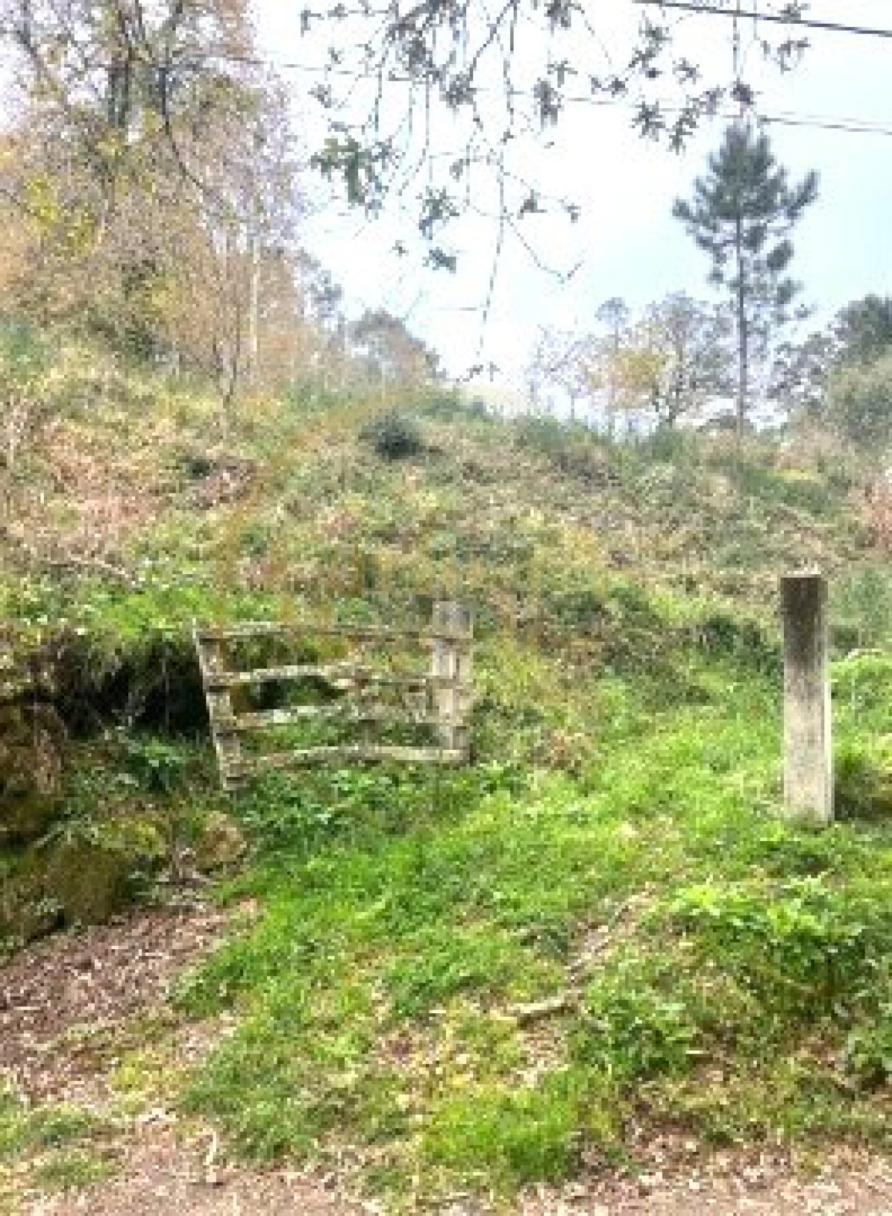 Terreno para Venda em Ribeira do Neiva Foto 6