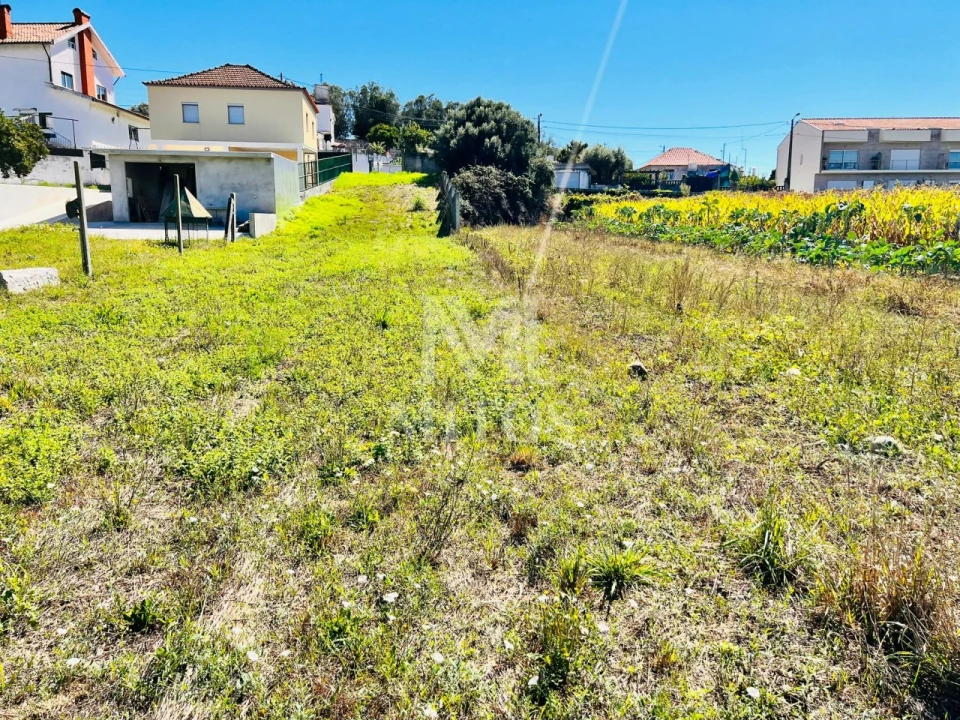 Terreno para Venda em Santa Marta de Portuzelo Foto 3