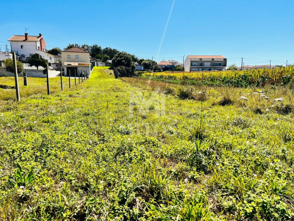 Terreno para Venda em Santa Marta de Portuzelo Foto 4