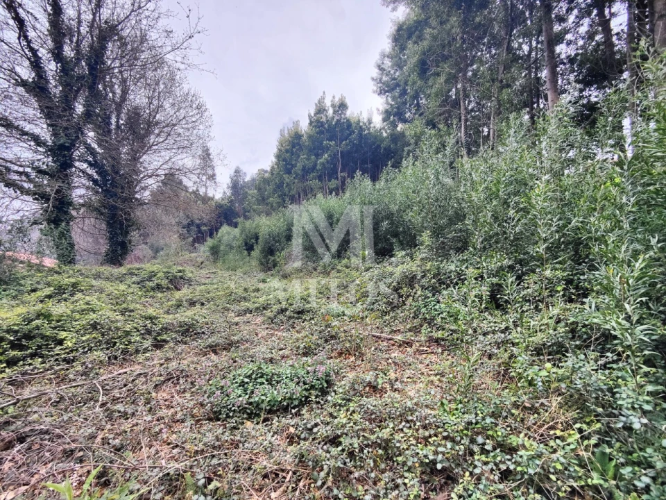 Terreno para Venda em Venade e Azevedo Foto 4