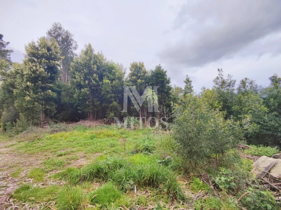 Terreno para Venda em Venade e Azevedo Foto 3