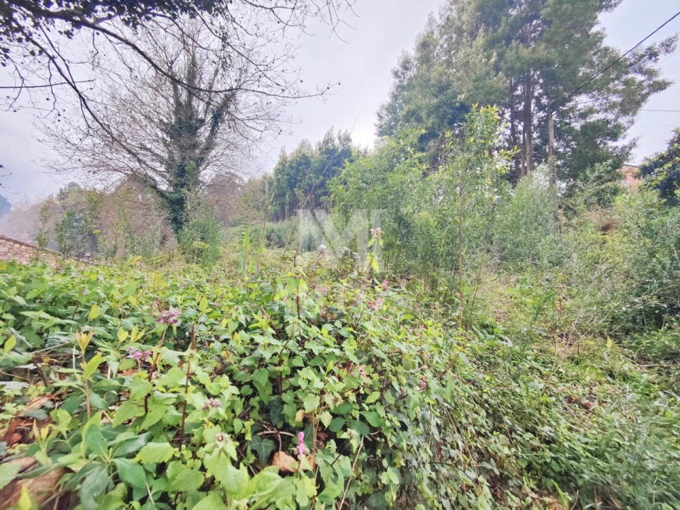 Terreno para Venda em Venade e Azevedo Foto 5