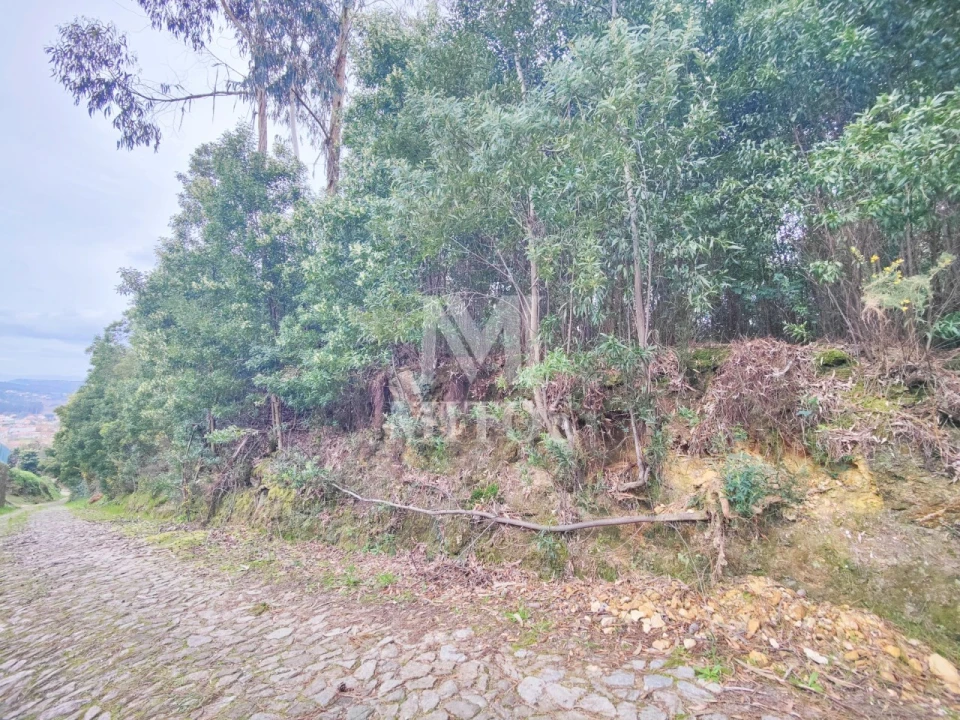 Terreno para Venda em Venade e Azevedo Foto 2