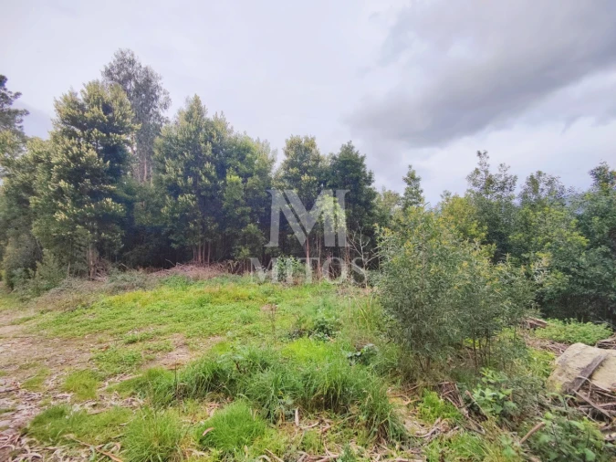 Terreno para Venda em Venade e Azevedo Foto 3