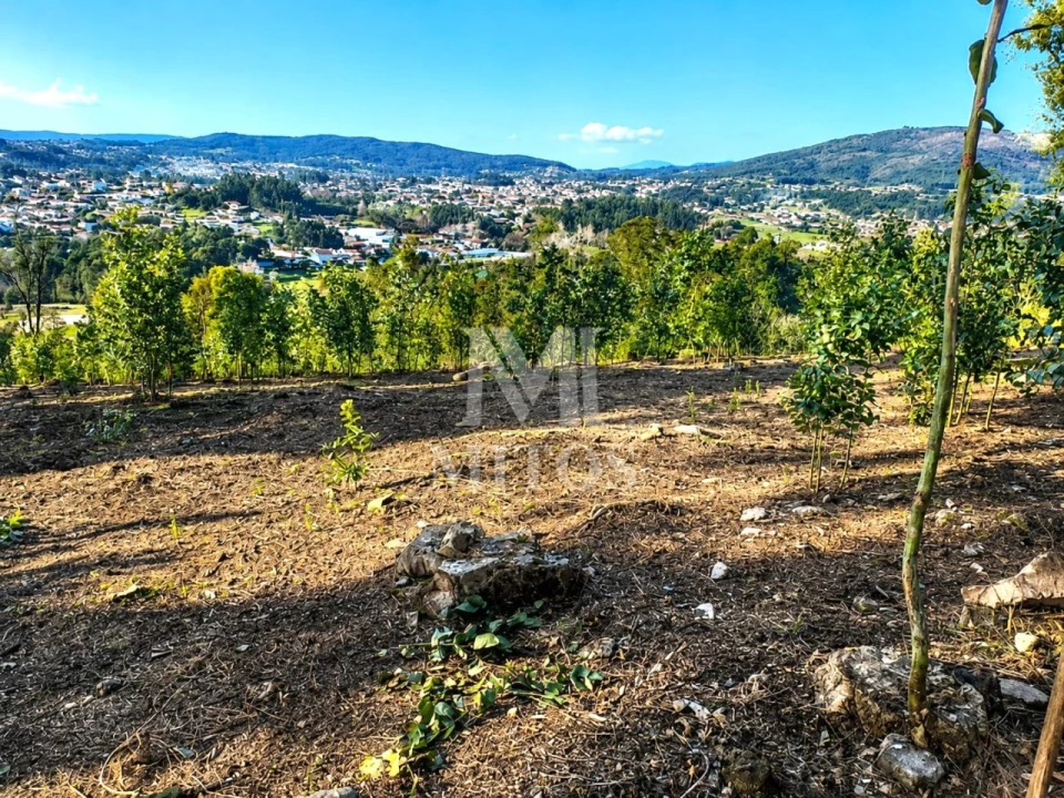 Terreno para Venda em Durrães e Tregosa Foto 1