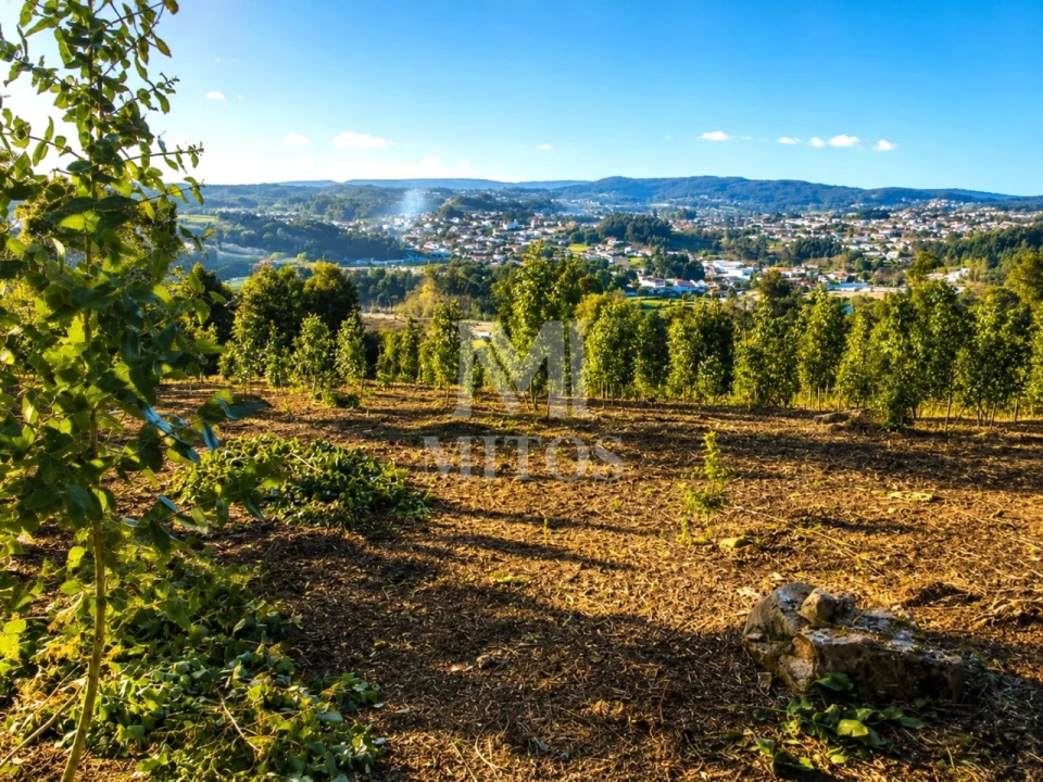 Terreno para Venda em Durrães e Tregosa Foto 2