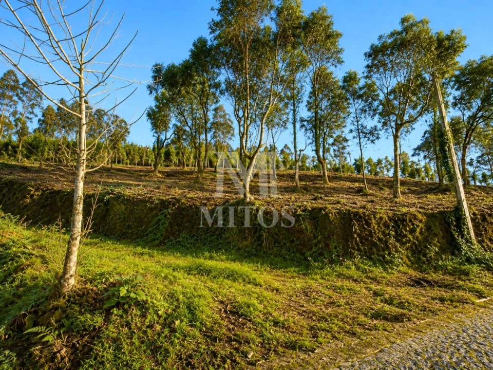 Terreno para Venda em Durrães e Tregosa Foto 5