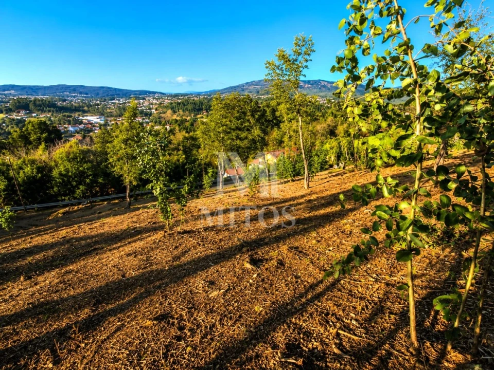 Terreno para Venda em Durrães e Tregosa Foto 7