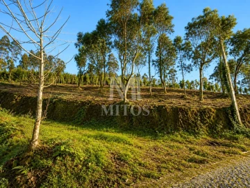 Terreno para Venda em Durrães e Tregosa