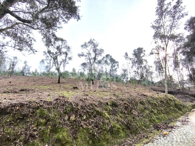 Terreno para Venda em Durrães e Tregosa Foto 9