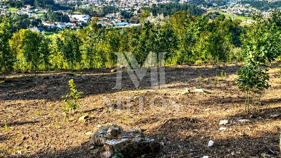 Terreno para Venda em Durrães e Tregosa