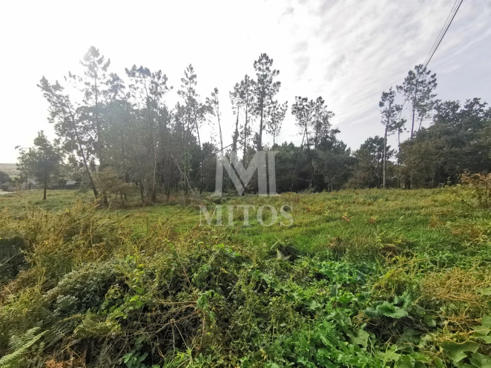 Terreno para Venda em Vila Nova de Anha Foto 1