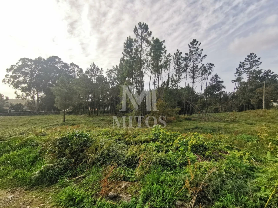 Terreno para Venda em Vila Nova de Anha Foto 3