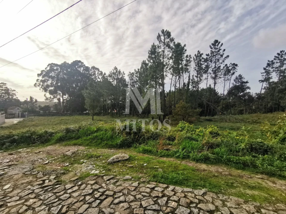 Terreno para Venda em Vila Nova de Anha Foto 5