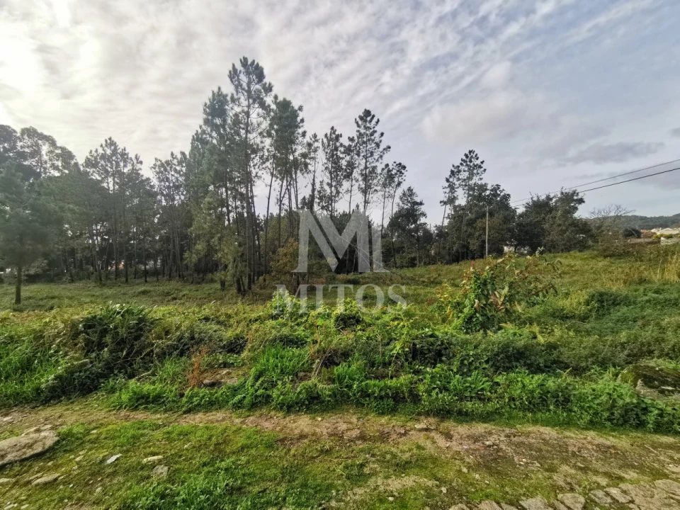 Terreno para Venda em Vila Nova de Anha Foto 6