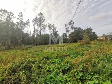 Terreno para Venda em Vila Nova de Anha