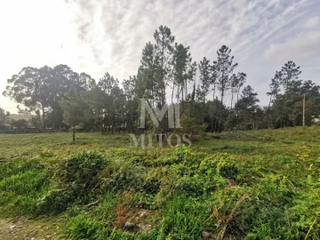 Terreno para Venda em Vila Nova de Anha