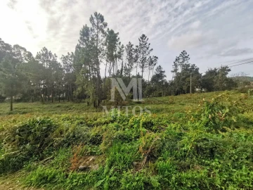 Terreno para Venda em Vila Nova de Anha