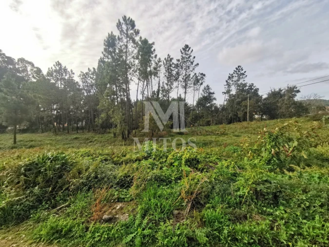 Terreno para Venda em Vila Nova de Anha Foto 4