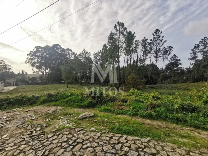 Terreno para Venda em Vila Nova de Anha Foto 5