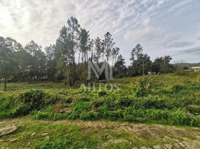 Terreno para Venda em Vila Nova de Anha Foto 6
