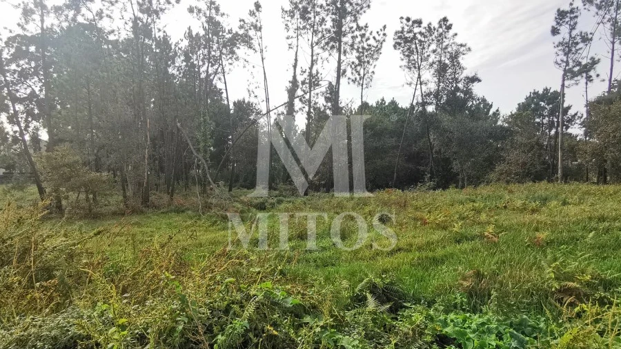 Terreno para Venda em Vila Nova de Anha