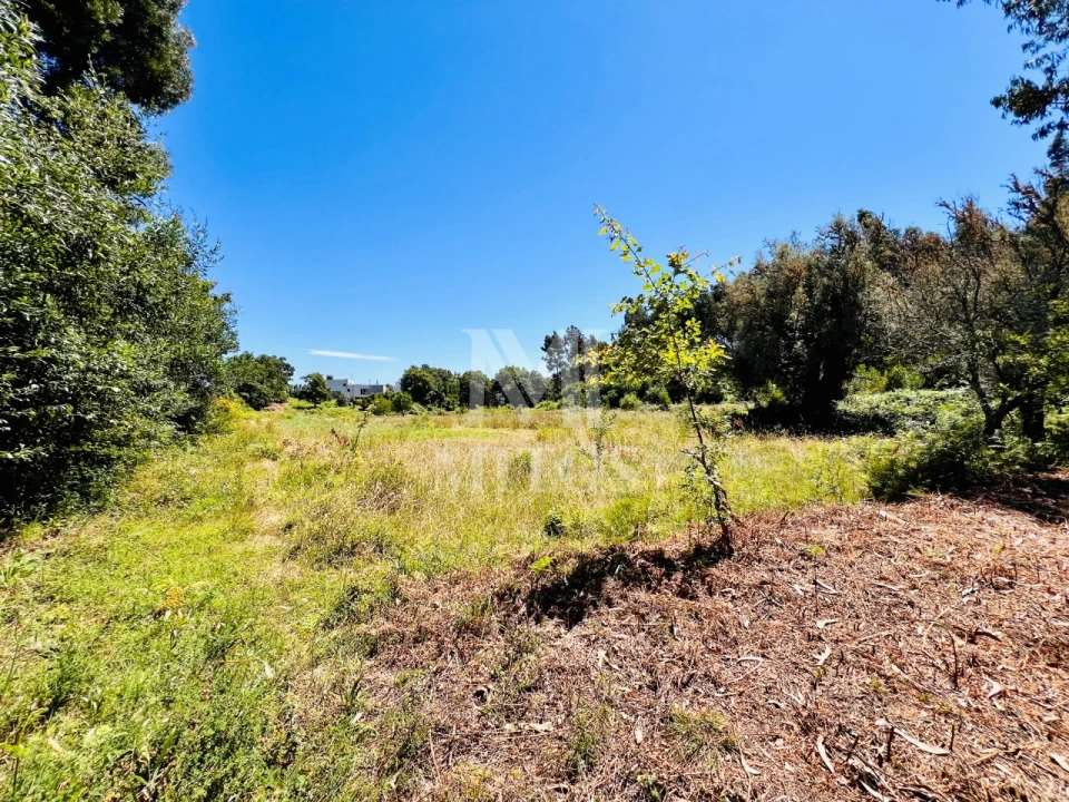 Terreno para Venda em Nogueira, Meixedo e Vilar de Murteda Foto 8