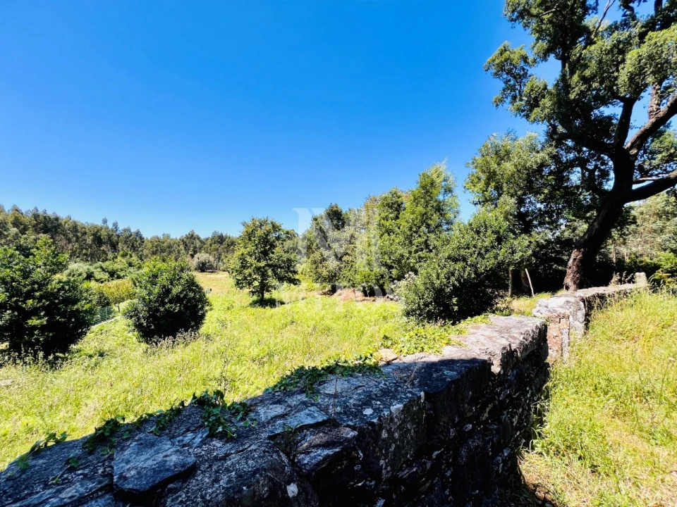 Terreno para Venda em Nogueira, Meixedo e Vilar de Murteda Foto 13