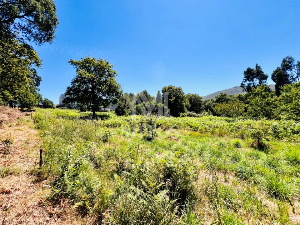 Terreno para Venda em Nogueira, Meixedo e Vilar de Murteda Foto 12