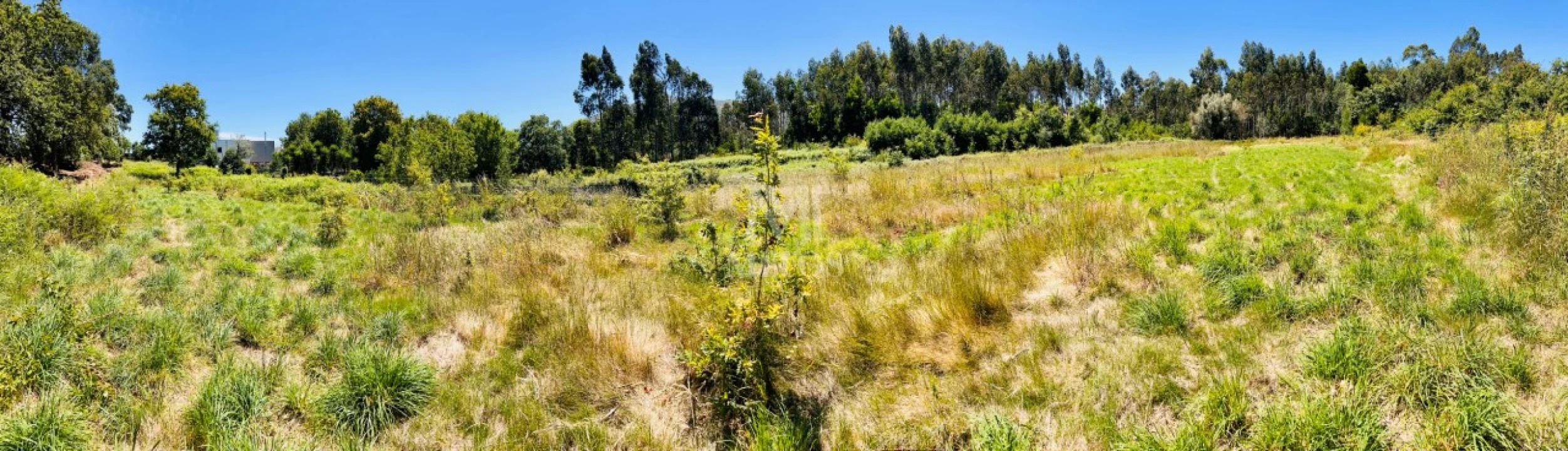 Terreno para Venda em Nogueira, Meixedo e Vilar de Murteda Foto 16